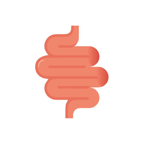 Síndrome de Intestino Irritable