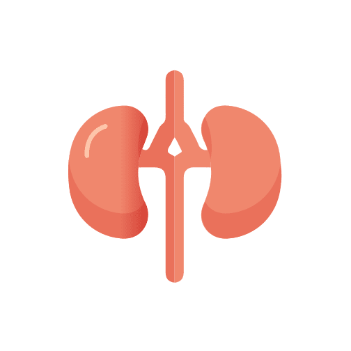 Enfermedad Renal Crónica