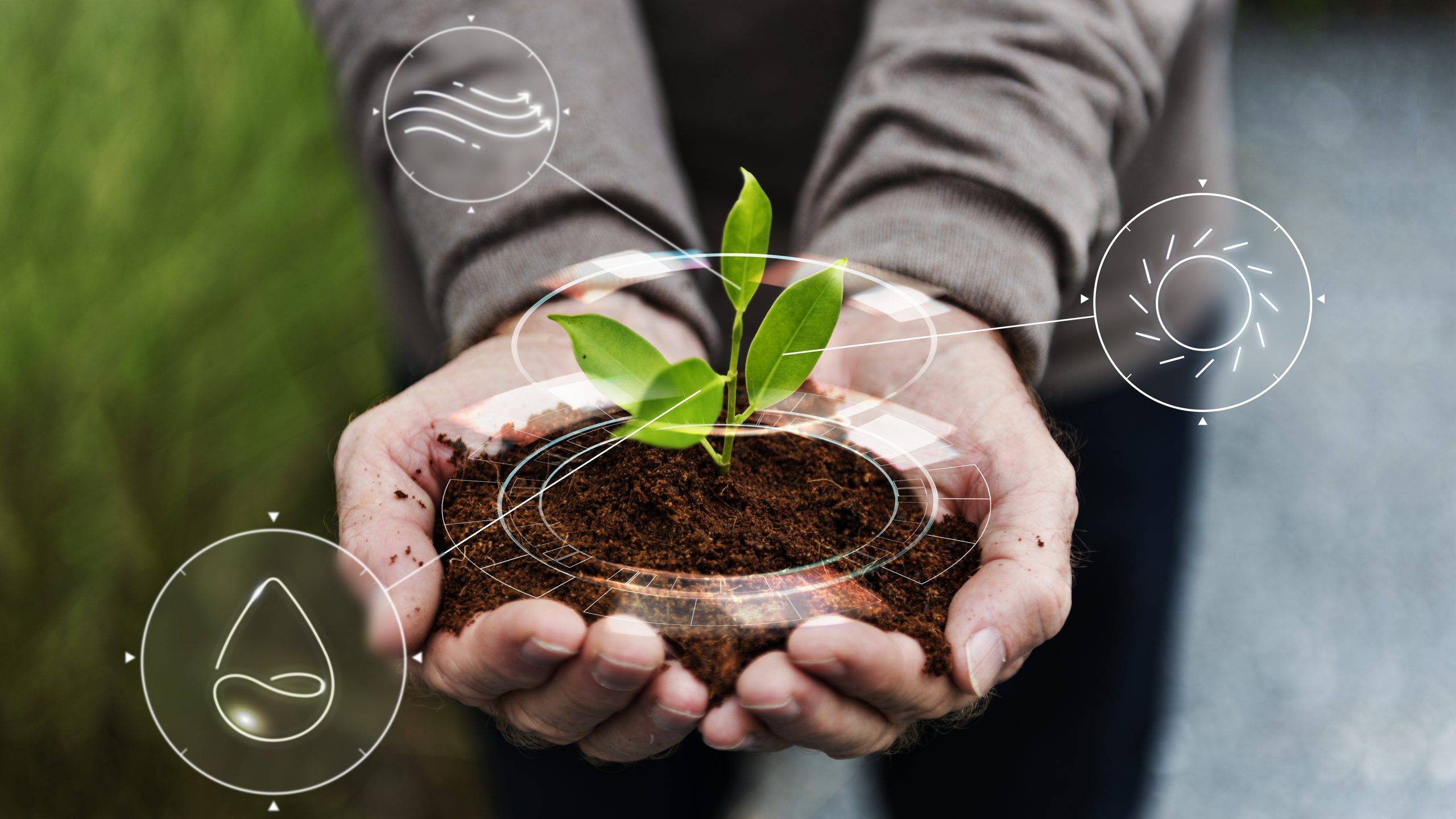 Agroecología y alimentación sustentable