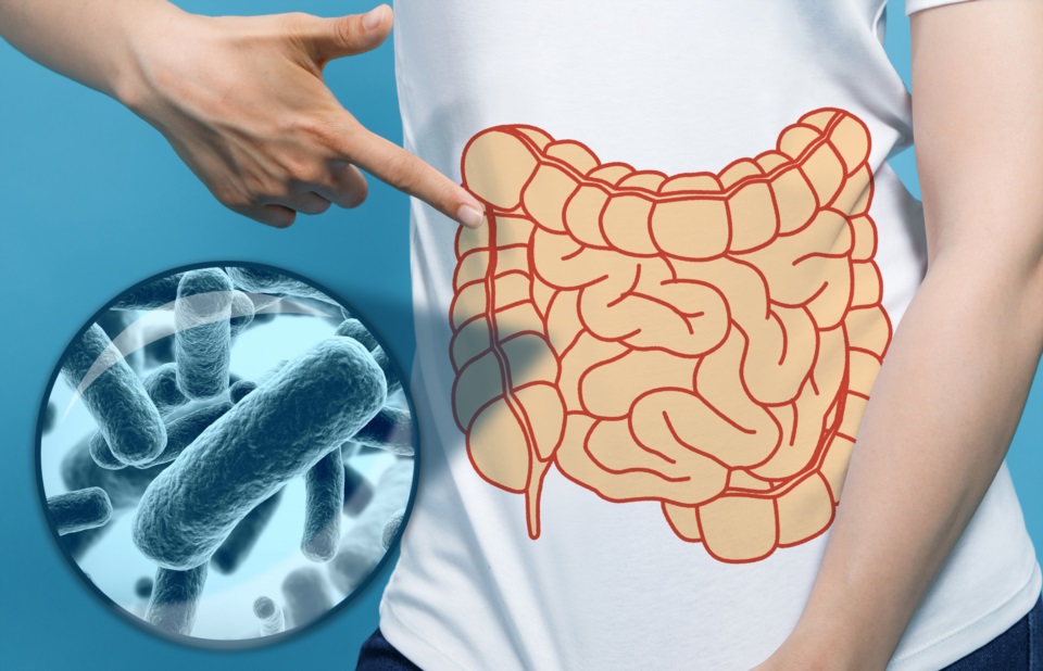 Entendiendo el Síndrome de Sobrecrecimiento Bacteriano (SIBO): Síntomas, Tratamiento y factores de riesgo