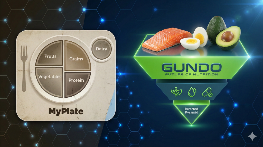 my plate vs nuevas guías alimentarias