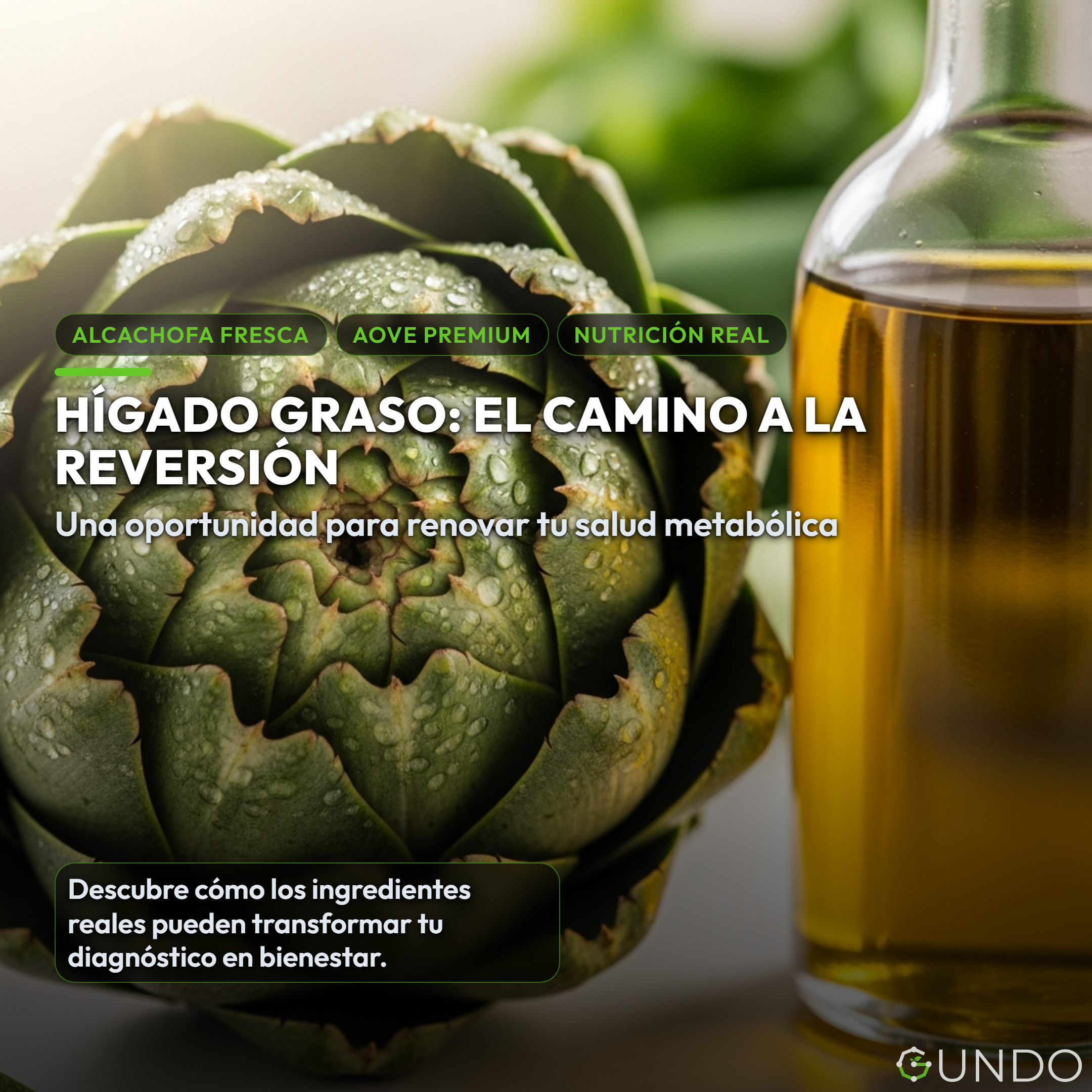 Hígado Graso: El Camino a la Reversión