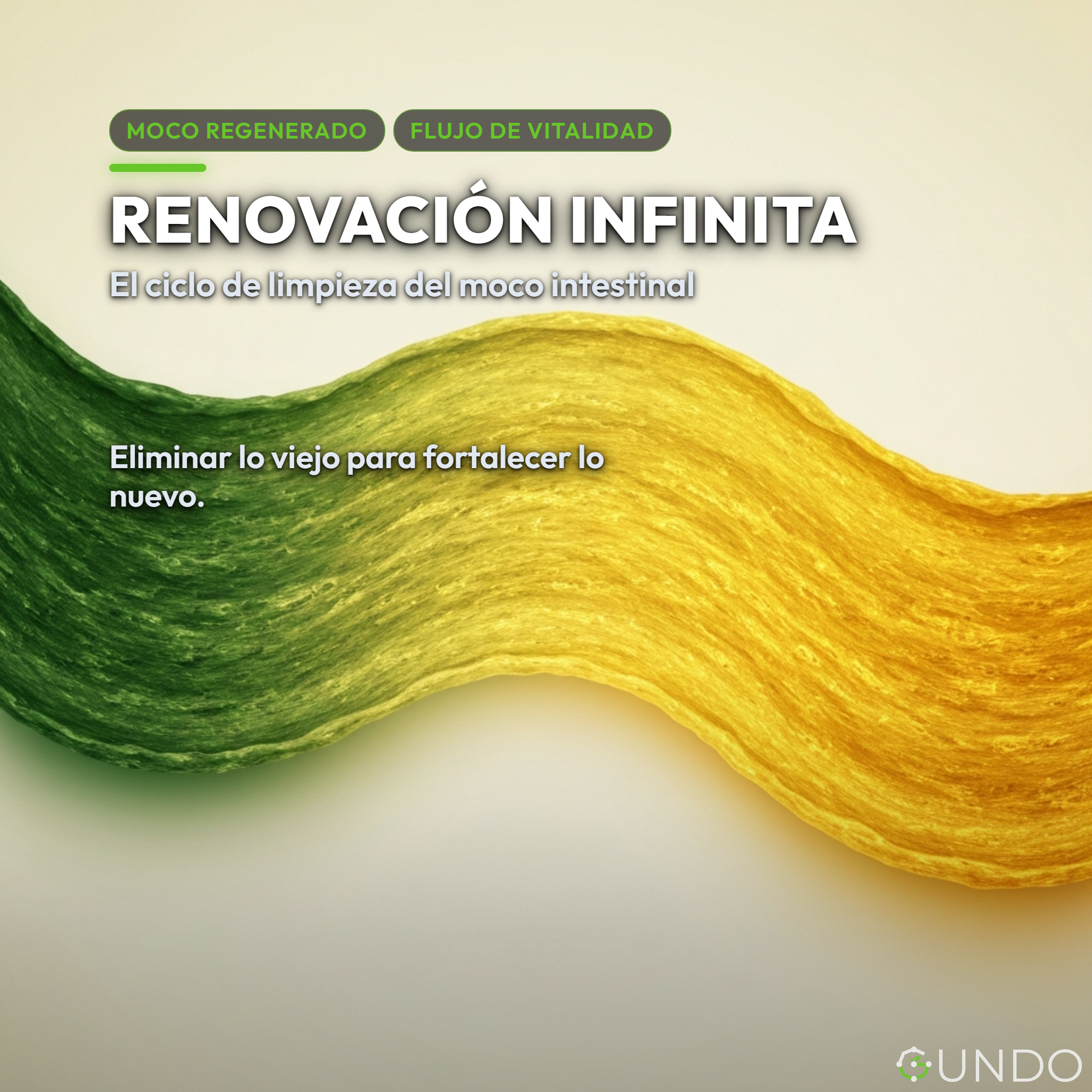 Akkermansia muciniphila - Renovación Infinita