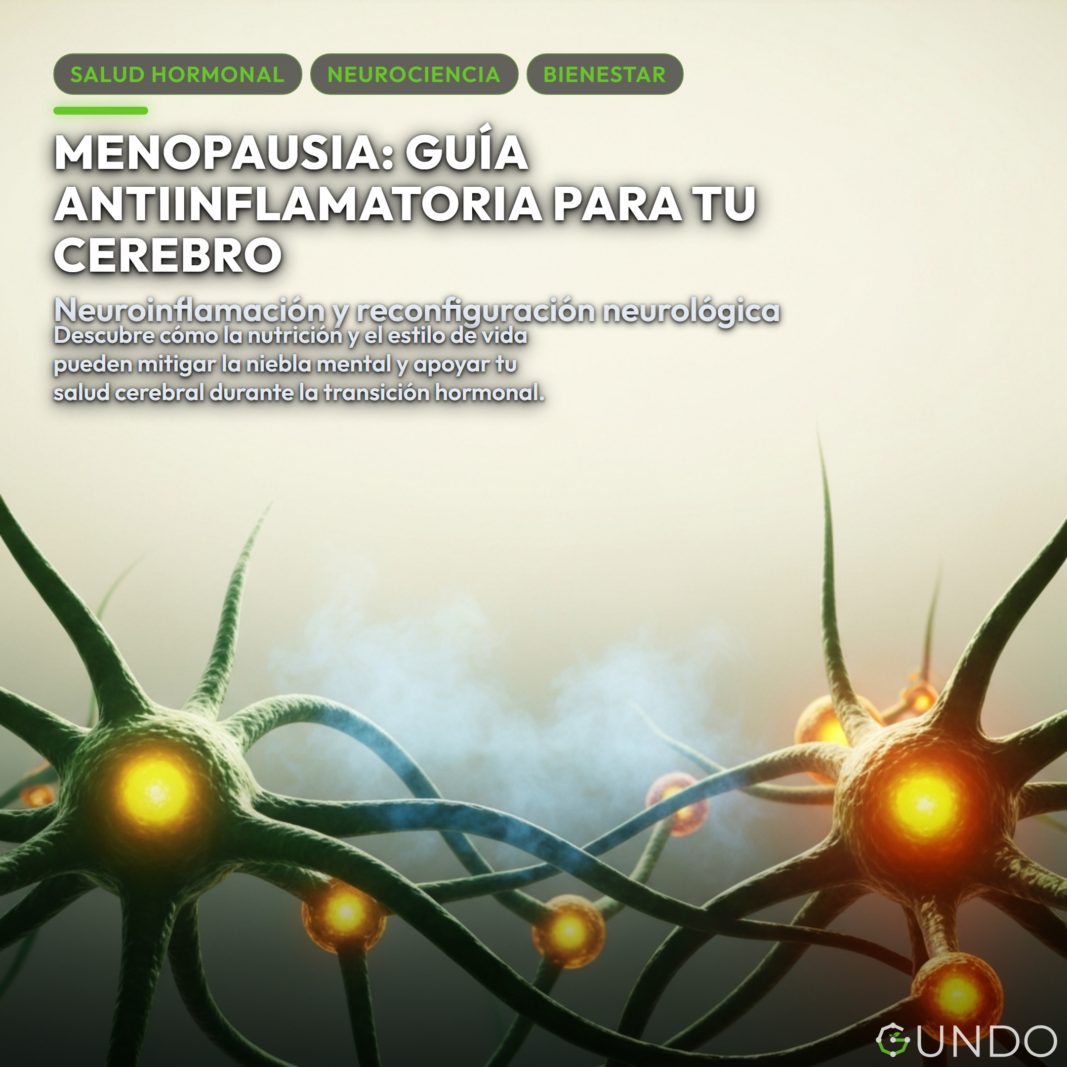 nutrición menopausia - Menopausia: Guía Antiinflamatoria para tu Cerebro